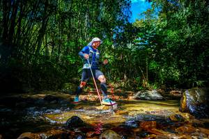 BIB: 
                            <button type="button" onclick="openModal(21765285)" class="btn btn-primary btn-sm float-right btn-popup" data-toggle="modal" data-target=".modal-high-quality">
                        <i class="fas fa-shopping-cart"></i> Add to Cart
                    </button>
                                            <button type="button" onclick="isThisMe(21765285, true)" class="btn btn-success btn-sm float-right btn-popup btn-isme hidden" data-toggle="tooltip" data-placement="bottom" title="นี่คือรูปของคุณใช่ไหม คลิกที่นี่เพื่อเอาเข้าอัลบั้ม">
                        <i class="fas fa-plus"></i> Add to album
                    </button>
                    <button type="button" onclick="isThisMe(21765285, false)" class="btn btn-warning btn-sm float-right btn-popup btn-isnotme hidden">
                        <i class="fas fa-ban"></i> Remove from album
                    </button>